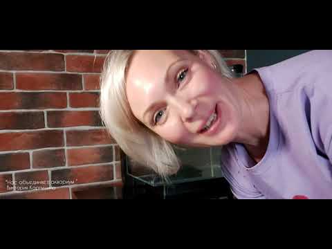 Видео: Морской аквариум на 30 литров. Солим воду