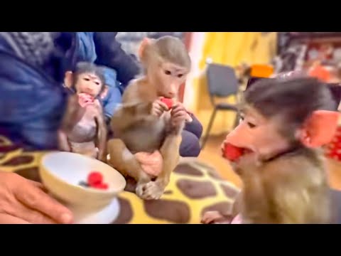 Видео: Влад нашел как сдружить Люсю, Степу и Маню-КЛУБНИКОЙ! Люська включает ЯЖЕМАТЬ)))