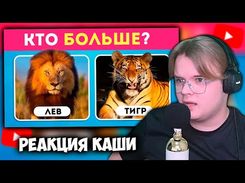 Видео: КАША СМОТРИТ 50 ВОПРОСОВ О ЖИВОТНЫХ 🧠🐬🦎🦁 | РЕАКЦИЯ КАШИ НА EMOJI COOL 😎