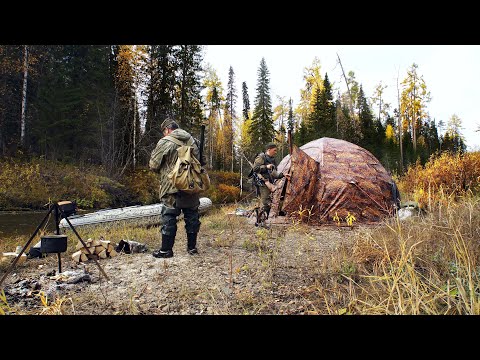 Видео: ОСТРОВ В ТАЙГЕ / ЛЕС И БАТЯ КОРМЯТ / 4 ДНЯ ОСЕННЕГО ПРОМЫСЛА / ОХОТА НА БОРОВУЮ ДИЧЬ / Часть 2