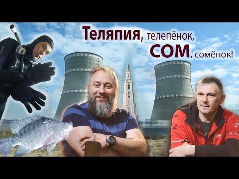 Видео: Удомля 2023 (апрель) подводная охота