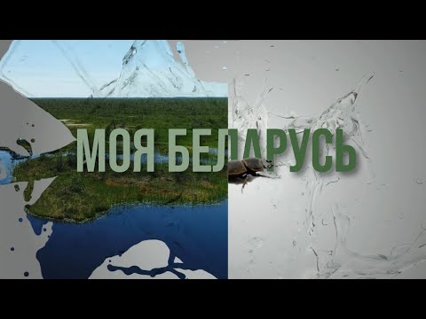 Видео: Моя Беларусь #12 | Поозерье