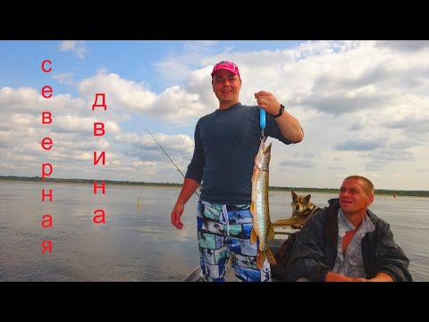 Видео: Северная двина тролинг ловля щуки.