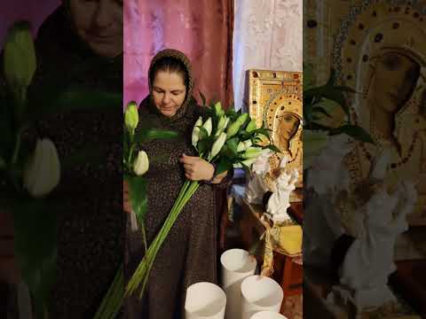 Видео: Спаси Вас Господи  Дорогие мои и любимые земной Вам всем поклон  🙏❤️😘😍