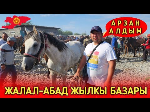 Видео: Жалал-Абад жылкы базары өтө арзан болду көрүңүздөр.