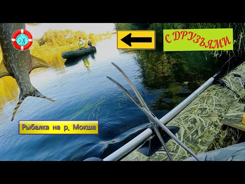 Видео: Рыбалка на р.Мокша с ДРУЗЬЯМИ/СЕНТЯБРЬ 2024/Мордовия