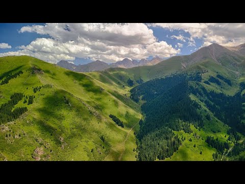 Видео: Ущелье Калмак-Ашуу. Долина Чон-Кемин. Кыргызстан.