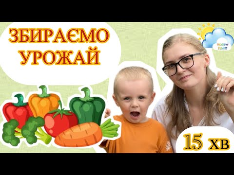 Видео: ЗБИРАЄМО УРОЖАЙ! Тьотя Таня @totyatanya збирає овочі з помічником