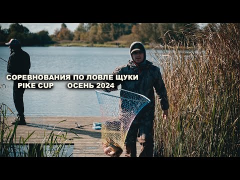Видео: Повстынь PIKE CUP (TRIXBAIT)