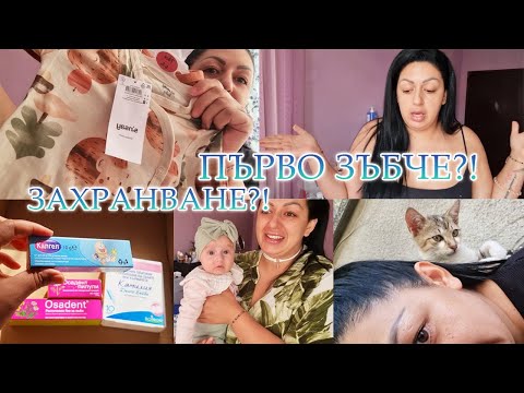 Видео: ЗАХРАНИХ Я / ПОРЪЧКА ОТ SINSAY / БЕБЕШКИ НЕВОЛИ