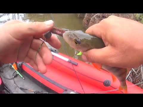 Видео: ТРУДОВАЯ РЫБАЛКА НА СУДАКА.  ЧАСТЬ 3.