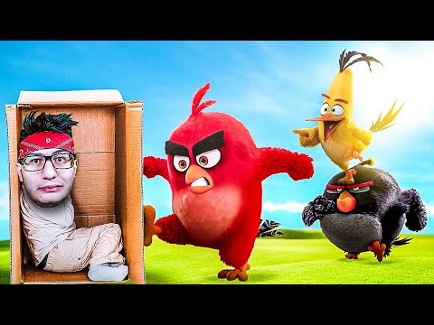 Видео: СДЕЛАЛ ШАШЛЫК ИЗ ПТИЦ ANGRY BIRDS В МАНЬЯК CS:GO