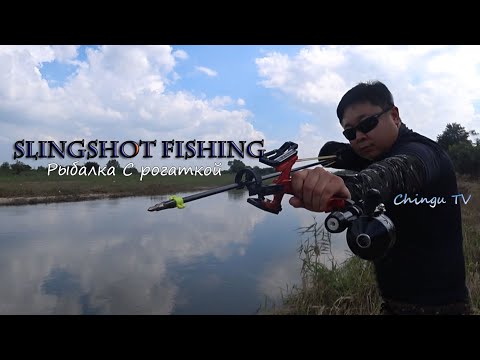 Видео: Рыбалка на Сазана с Рогаткой.Slingshot Fishing