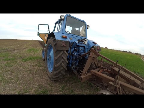 Видео: МТЗ-80 Плуг ПЛН 3-35 Пахота 2020 (В гостях у підписчика)