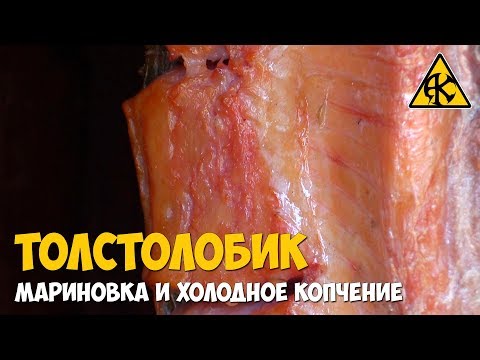 Видео: Копчение толстолоба маринование и холодный дым