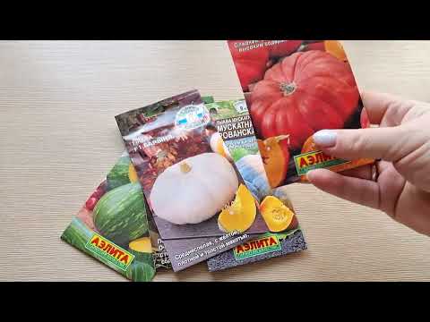 Видео: Мои семена тыквы. Лучшие сорта