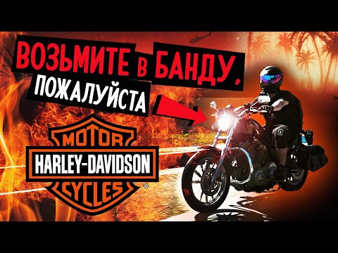 Видео: Обзор первосезонника Harley-Davidson 883 Shprotster | Утробный холодильник