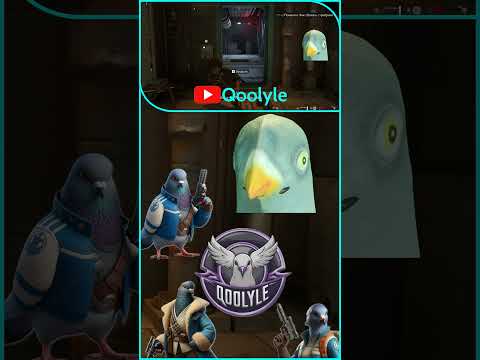 Видео: Ей везло всегда, но был момент #qoolyle #shorts #starwars  #игры #прохождение #рек #реки #голубь