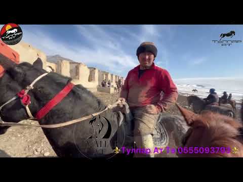 Видео: Ош, Жаны-Араван, Ырысбек уулдарына бата алып улак берди🇰🇬🔥