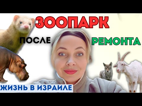 Видео: Большой ЗООПАРК в маленьком израильском городе. Зоопарк в Беэр-Шеве