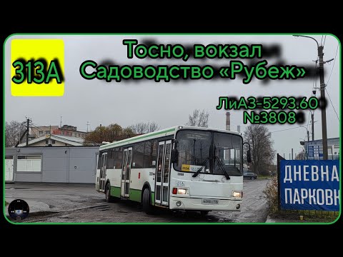 Видео: ЛО, Тосно, автобус №313А от ж/д вокзала до садоводства "Рубеж" | ЛиАЗ-5293.60 №3808