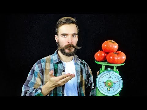 Видео: рн#10. купил у КИРГИЗ пять КИЛОГРАММ ПОМИДОР