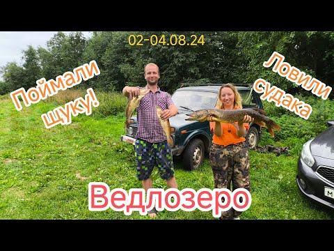 Видео: Рыбалка на Ведлозеро. Ловим судака.