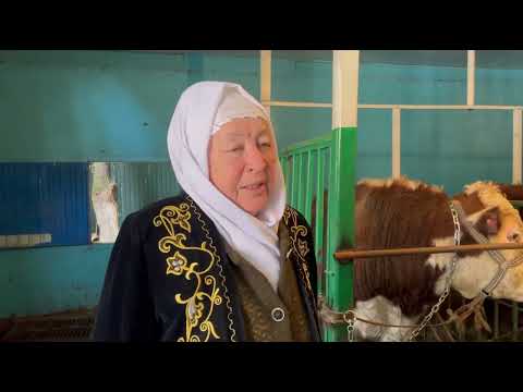 Видео: Перзент балалар үйі