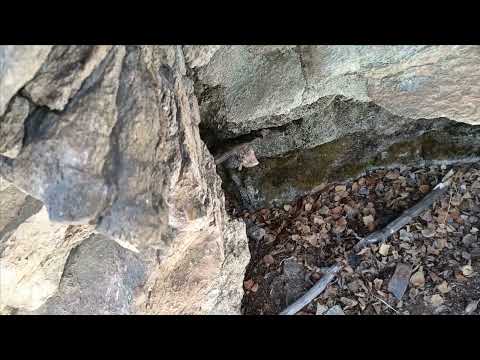 Видео: Проверка капканов часть 〽️ 10.