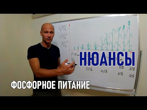 Видео: Принципы питания растений и внесения фосфорных удобрений