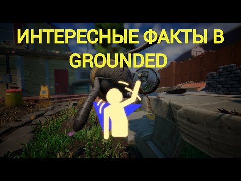 Видео: ИНТЕРЕСНЫЕ ФАКТЫ В GROUNDED 4 ЧАСТЬ