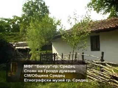 Видео: МФГ Божур гр.Средец- Стоян на Грозда думаше