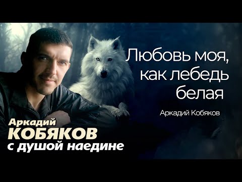 Видео: Аркадий Кобяков - Любовь моя, как лебедь белая @Аркадий_Кобяков