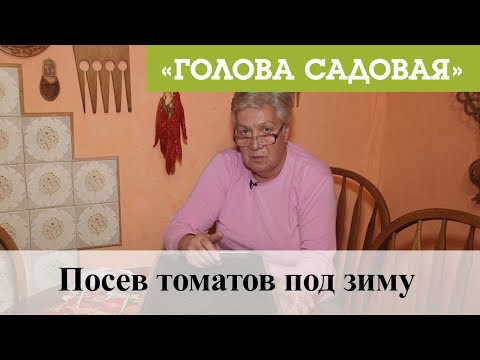 Видео: Голова садовая - Посев томатов под зиму
