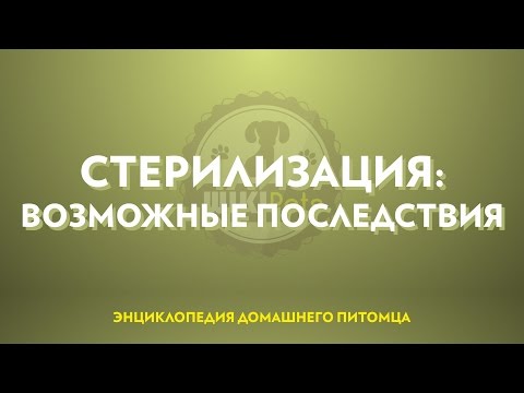 Видео: Стерилизация (часть 4): возможные последствия.