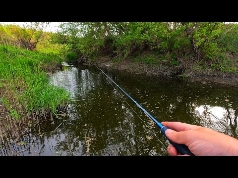 Видео: ЩУКА В ИЮНЕ. Рыбалка на спиннинг летом.