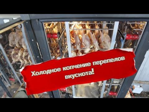 Видео: Перепела холодное копчение👍👍👍 в коптильне ИП Федотов может сделать каждый!!!