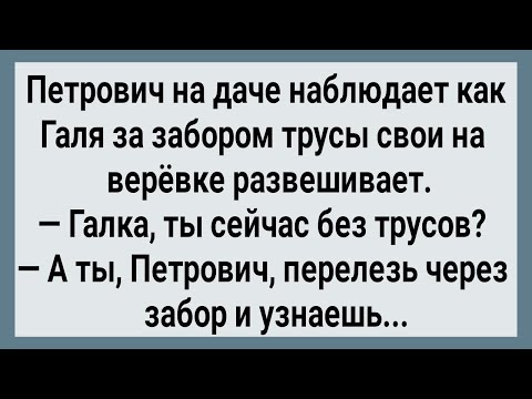 Видео: Как Петрович Через Забор к Соседкам Лазил! Сборник Свежих Анекдотов! Юмор!