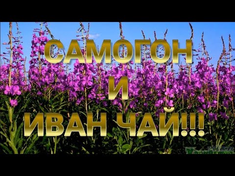 Видео: САМОГОН И ИВАН ЧАЙ!!! САМОГОН И......