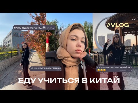 Видео: будни студента в Китае и дорога до Шеньяна//*study vlog*