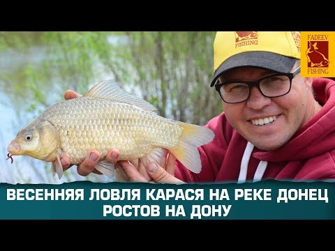 Видео: Фидерная  ловля карася в Ростове на Дону с Алексеем Фадеевым.