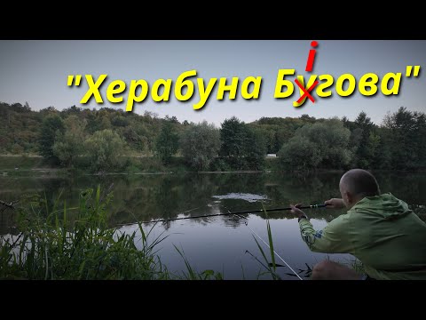 Видео: ХЕРАБУНА ХОДОВА #herabuna #streetfishing #floating #tanago #タナゴ #ヘラブナ