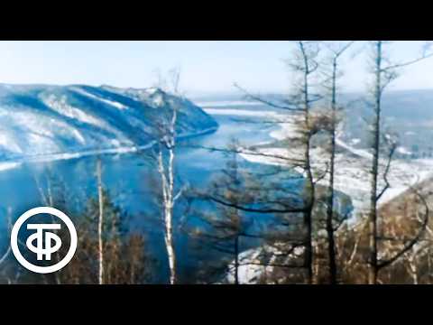 Видео: Начинается с тайги. Фильм-путешествие по Сибири (1971)