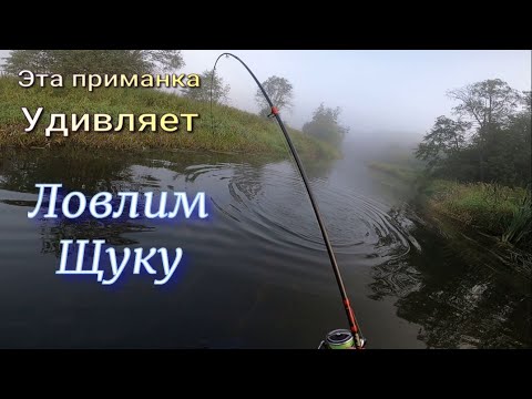 Видео: Эта приманка Удивляет Ловим Щуку на Быстрице