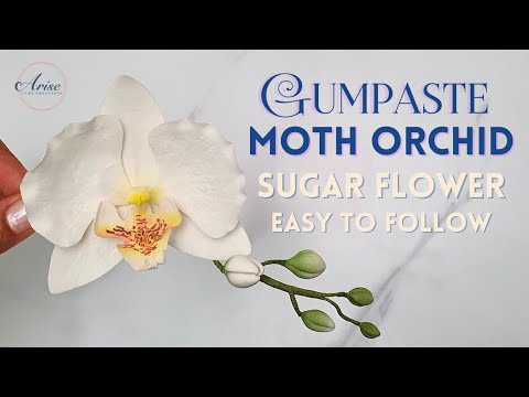 Видео: Как сделать орхидею-моль из мастики (фаленопсис) с бутонами | ЛЕГКО СДЕЛАТЬ | Сахарные цветы