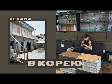 Видео: KOREA VLOG | Уехала в Корею на 2 месяца | Румтур