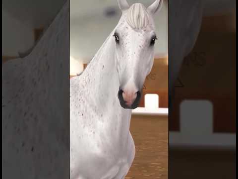 Видео: ❗️СПОЙЛЕР❗️Масти Французского Селя#horse #sso #starcoins #starstable #starstableonline #лошади