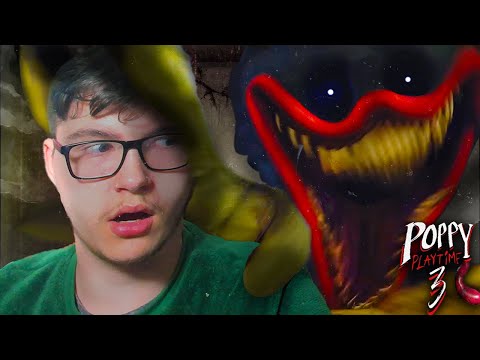 Видео: СОЗДАТЕЛЬ ТВАРЕЙ - не тварь? Загадки и тайны игры ⋙⩥ Poppy Playtime 3 #2