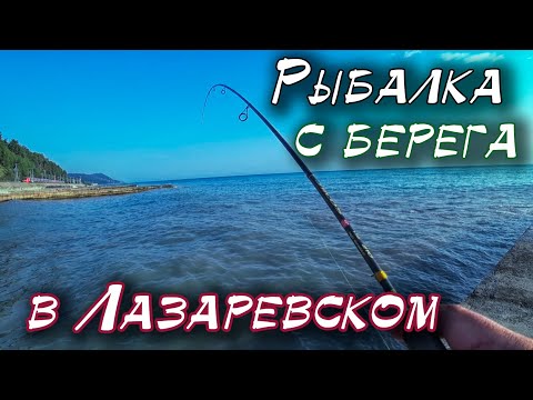 Видео: Береговая рыбалка в Лазаревском