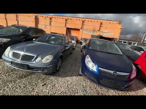 Видео: 2 февраля 2025 г.